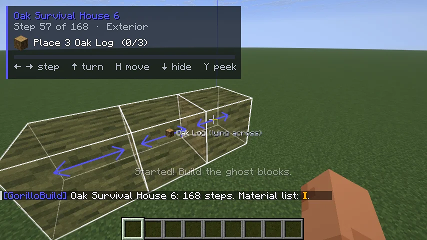 Ghost blocks showing the next step